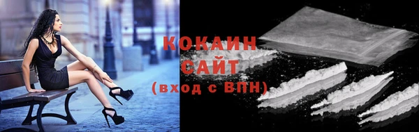 крисы Аркадак