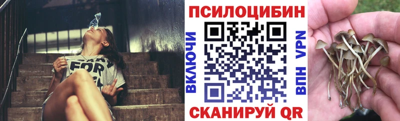 Галлюциногенные грибы мухоморы  Борзя 